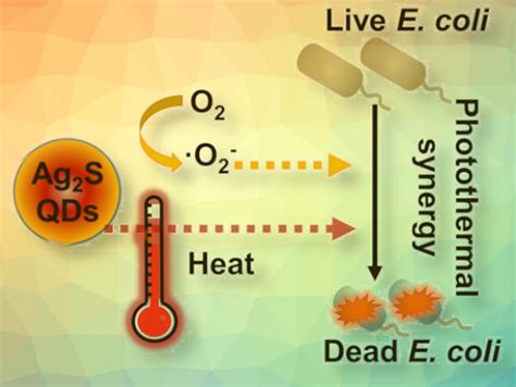 Rapid Photocatalytic Bacteria Disinfection Of Drinking Water