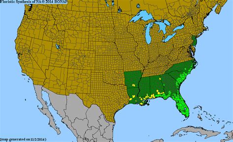 2013 BONAP North American Plant Atlas. TaxonMaps