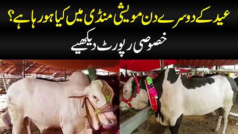 Qurbani Ke Janwar Ki Khareed O Farokht Aur Maweshi Mandi Ki Soorat E