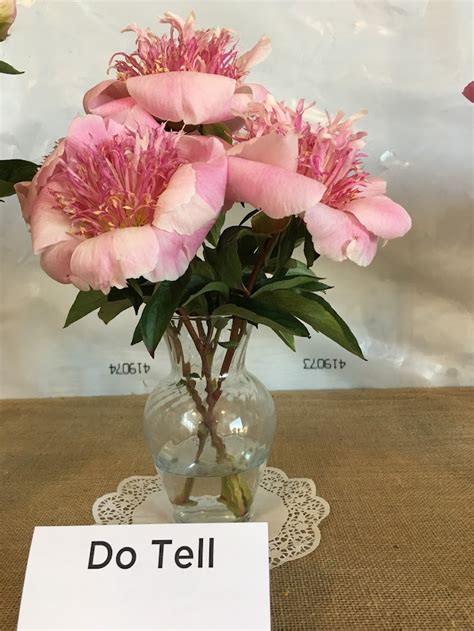 Oregon Travel: Visiting the Adelman Peony Gardens - Pechluck's Food Adventures