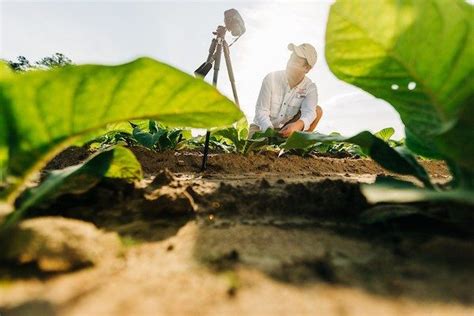 Engage With Virginia Cooperative Extension And Virginia H College