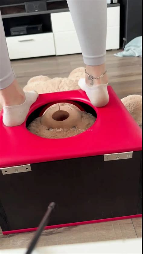 Free Teddy Bear Porn Videos XHamster