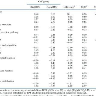 Effects Of Maternal Bcs During Late Pregnancy On The Response Of Calf