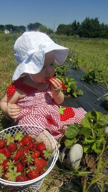 Berry Picking Fun Fall Activities Local Activities Cottagecore Life