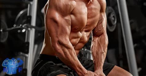 6 Best Dumbbell Triceps Exercises For Men A Simple Guide