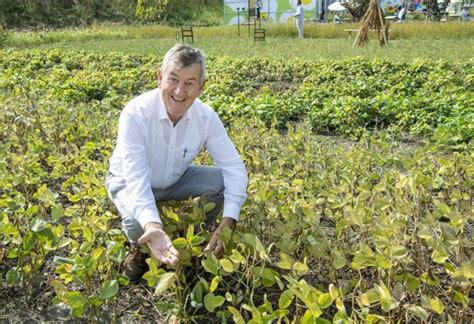 Schouten Europe En Agrifirm Gaan Samenwerken Aan Eiwittransitie