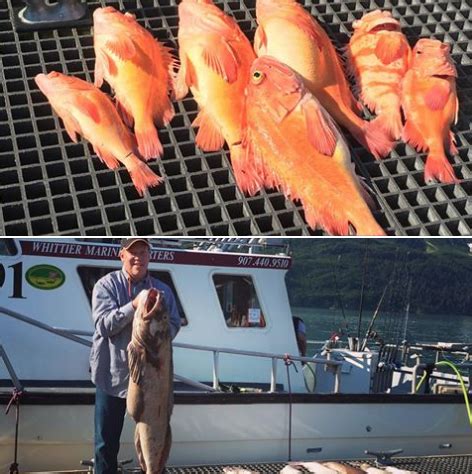 Whittier, Alaska Fishing Report | Alaska Fishing Report | Fish Alaska Magazine