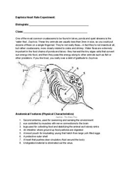 Daphnia Heart Rate Experiment: by Ben Braymer | Teachers Pay Teachers