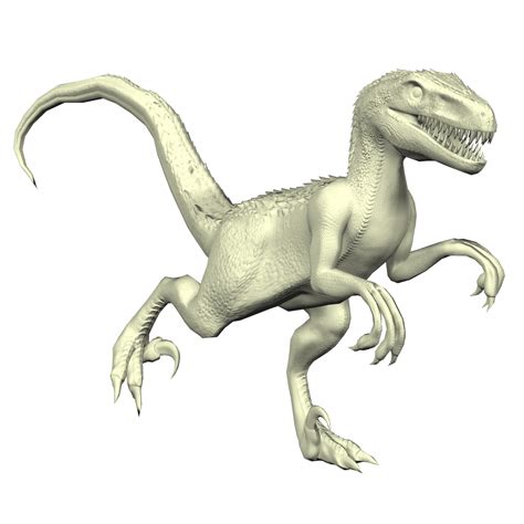 Velociraptor Fact Sheet Cswd