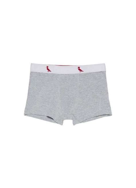 Cueca Cont Boxer Algod O Reserva Mini Cinza Mescla Reserva