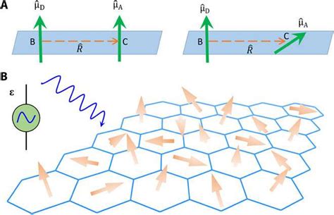 Shedding Light On Moiré Excitons A First Principles Perspective