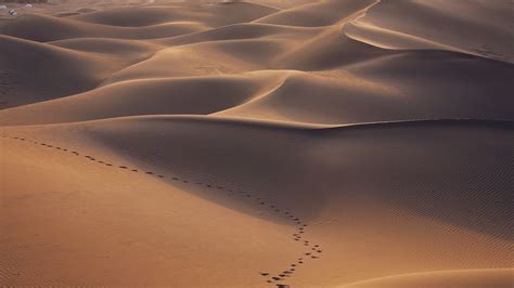 Desert, dunes, sand, footprints, landscape | picture, photo, desktop ...