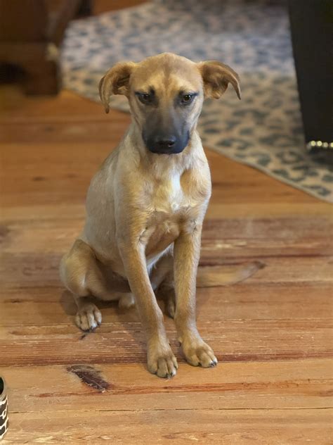 Abandoned to Adored | Holly Springs MS