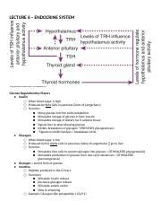 sssx Diaphoresis tachycardia palpitations confusion slurred speech shakiness | Course Hero