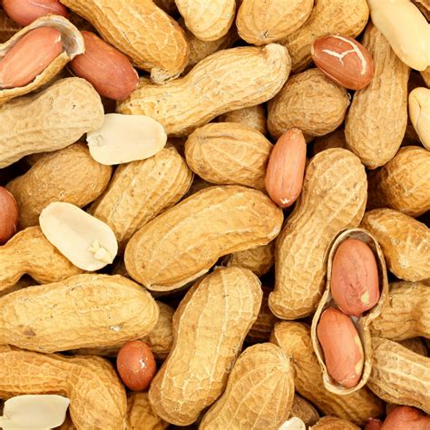 Peanuts Nuts For Life Australian Nuts For Nutrition Health