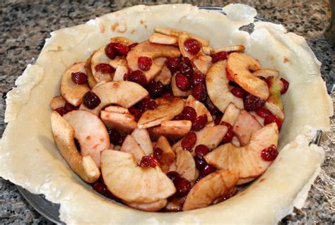 Apple Cranberry Pie Recipe The Olive Blogger