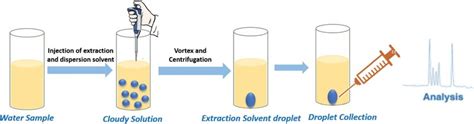 Schematic Representation Of Dllme Download Scientific Diagram