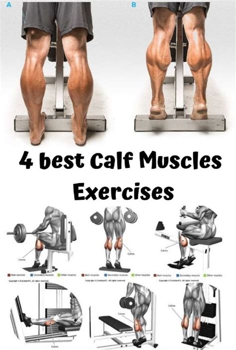 Best Calf Muscles Exercise For Men Calf Muscle Workout Gym Workouts