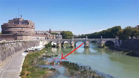 Riappare A Sorpresa Sul Tevere Dopo Oltre 500 Anni Immortalato Dai