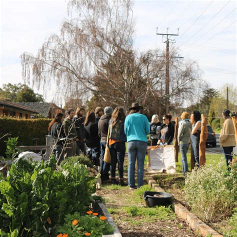 Join Permaculture Sa