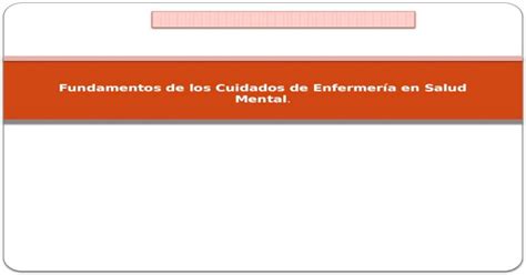 Fundamentos De Cuidados De Enfermeria En Salud Mental Pptx Powerpoint