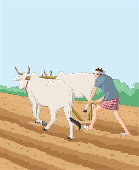 Farmer Ploughing Field With Bullock Cart Vector Art At Vecteezy