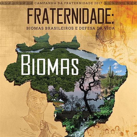 Campanha da Fraternidade 2017 conheça os Biomas brasileiros Portal