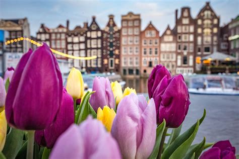 Fascinating & Fun Bits of Amsterdam History | #ExperienceTransat