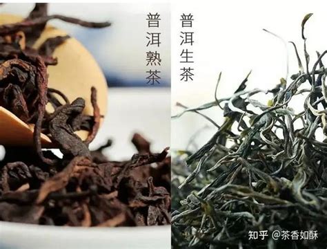 普洱茶生茶好还是熟茶好