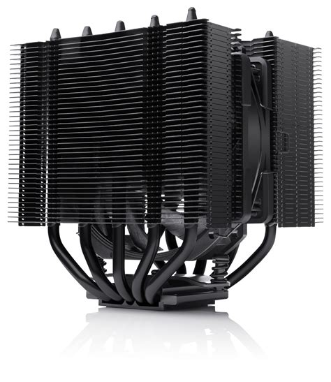 Amazon Noctua NH D12L Chromax Black Low Height Dual Tower CPU