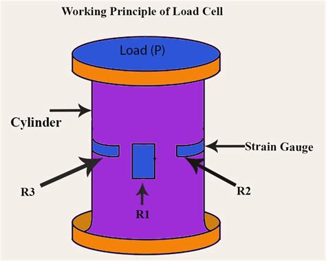 Working Principle of Load Cells Efficient 2025