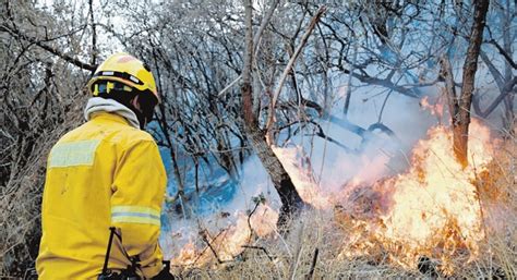 Contaminación En Una Semana Se Duplican Hectáreas De Bosques