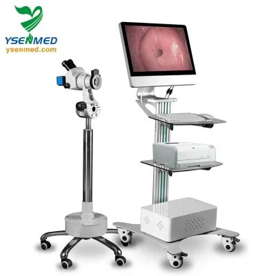 Medical Yssw3306 Sony System Gynecology Beautiful Vagina Digital Video