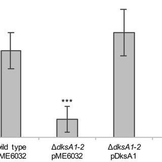 Effect Of DksA Paralogs On H2O2 Tolerance In P Aeruginosa Biofilm