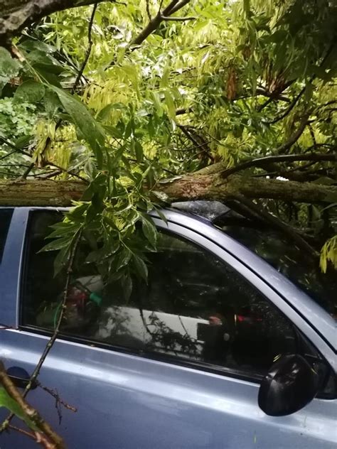 Prim Ria Sectorului I Va Desp Gubi Pe Cei C Rora Furtuna De Vineri