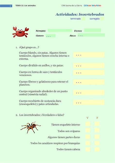 Pdf Actividades Invertebradosmilibrodigital Aulaalustante Libro