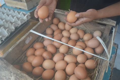 Sempat Melonjak Jelang Nataru Harga Telur Di Pasar Tradisional Jombang