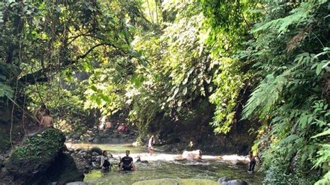 Tak Jauh Dari Medan Pemandian Sungai Sikabung Kabung Tempat Wisata Di