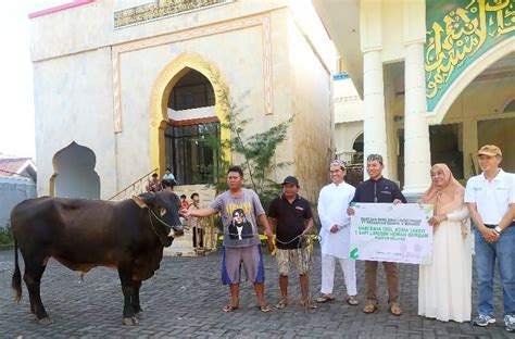 Hari Raya Idul Adha H Pegadaian Kanwil Manado Berikan Ekor