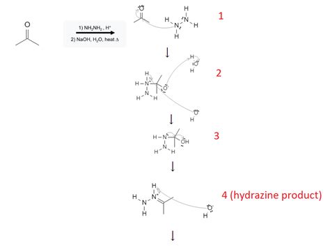 Orgosolver