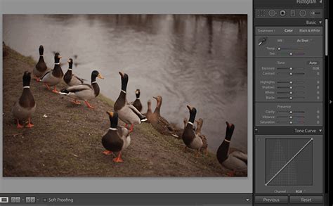 Capture One Vs Lightroom Which Is Really Better Expertphotography