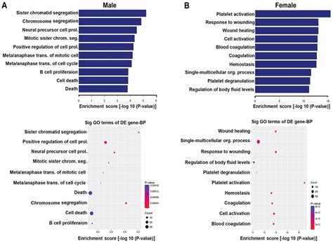 Go Term Enrichment Analysis In Degs A Top 10 Significantly Enriched