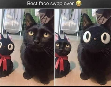 Is this the best face swap or what? : r/funny