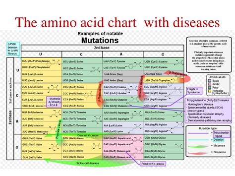 Ppt Mutations Powerpoint Presentation Free Download Id1466319