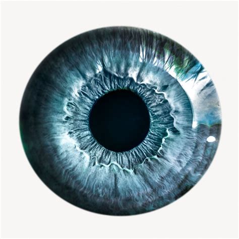 Blue eye iris, iridology isolated | Premium Photo - rawpixel