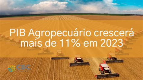 Pib Agropecuário Crescerá Mais De 11 Em 2023 Agronegociar