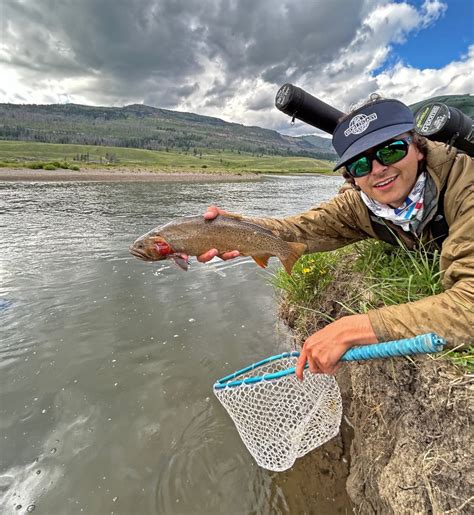 Yellowstone Fishing Report - WorldCast Anglers