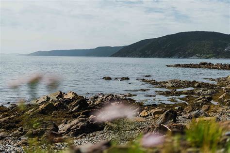 How Tourism Revived A Newfoundland Fishing Community