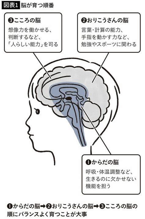 ｢3歳から英語を習わせる｣は百害あって一利なし｢詰め込み式教育｣がわが子にもたらす怖すぎるリスク 早期教育は脳を｢アンバランスな状態｣にする 2ページ目 President