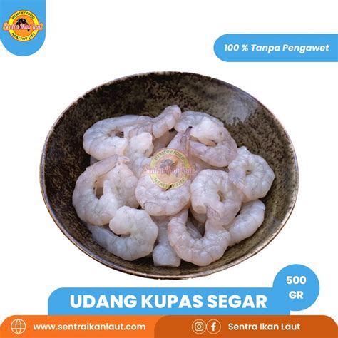 Jual Udang Windu Pondok Gede Bekasi Sentra Ikan Laut Fresh Frozen